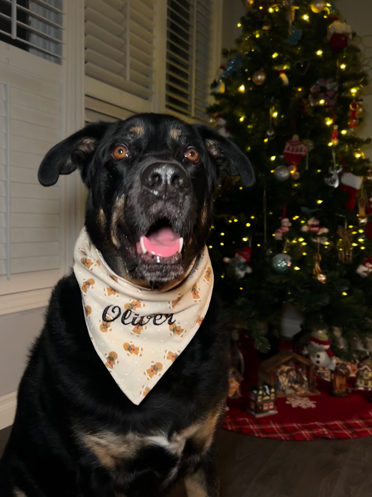 Custom Pet Christmas Bandana